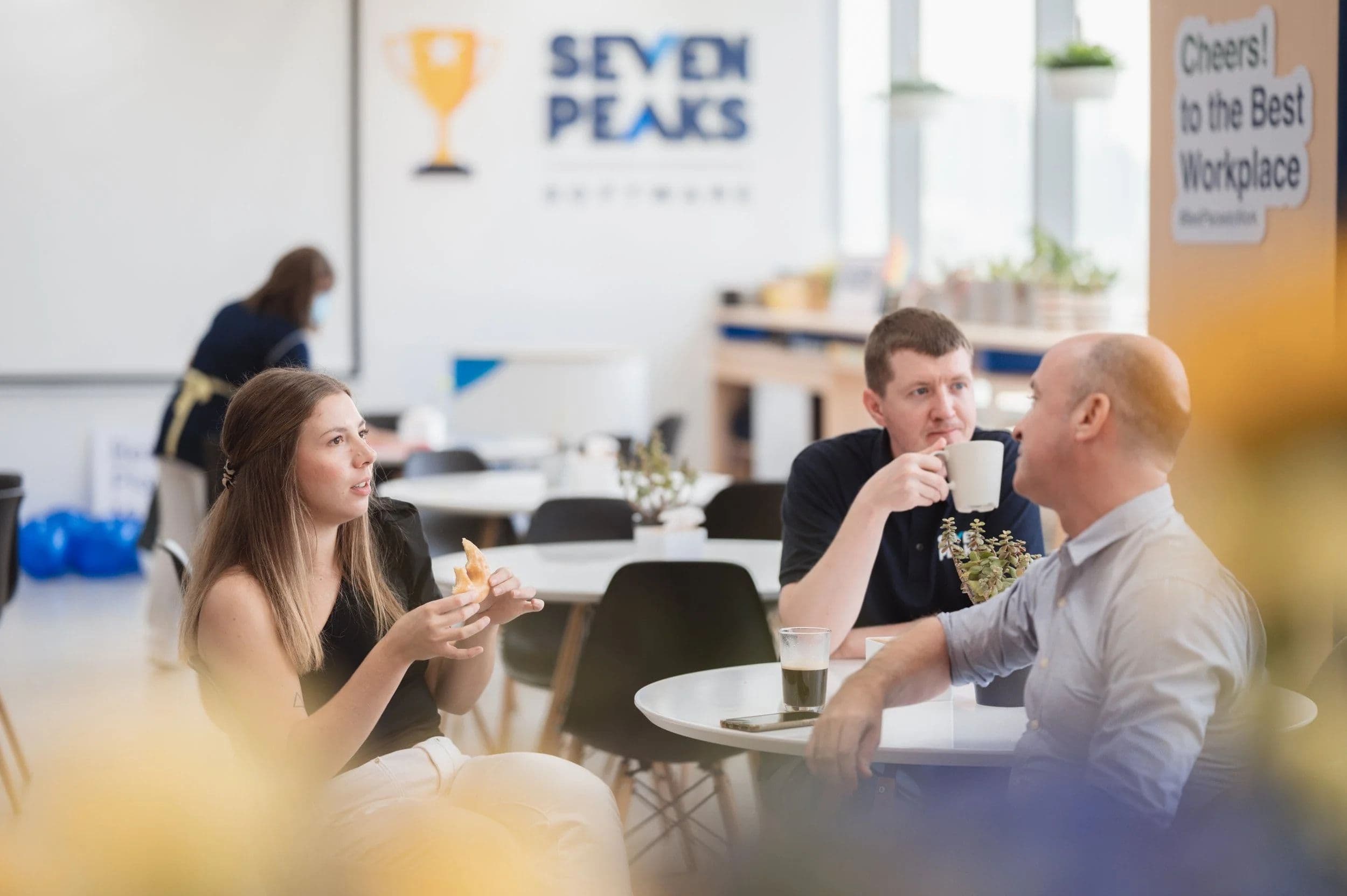 Seven Peaks Software