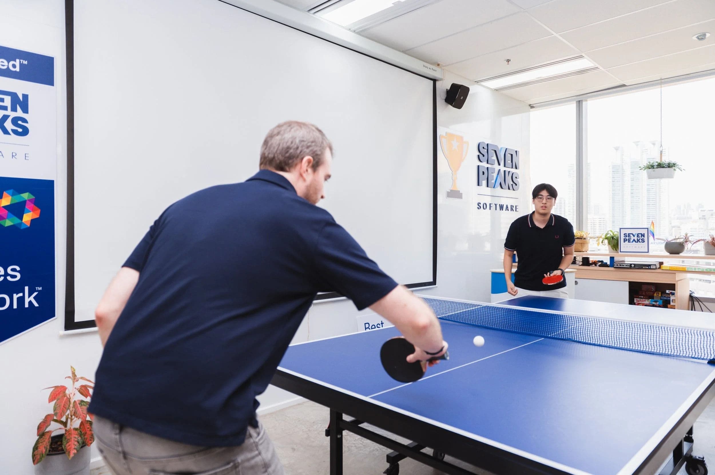 Seven Peaks Software