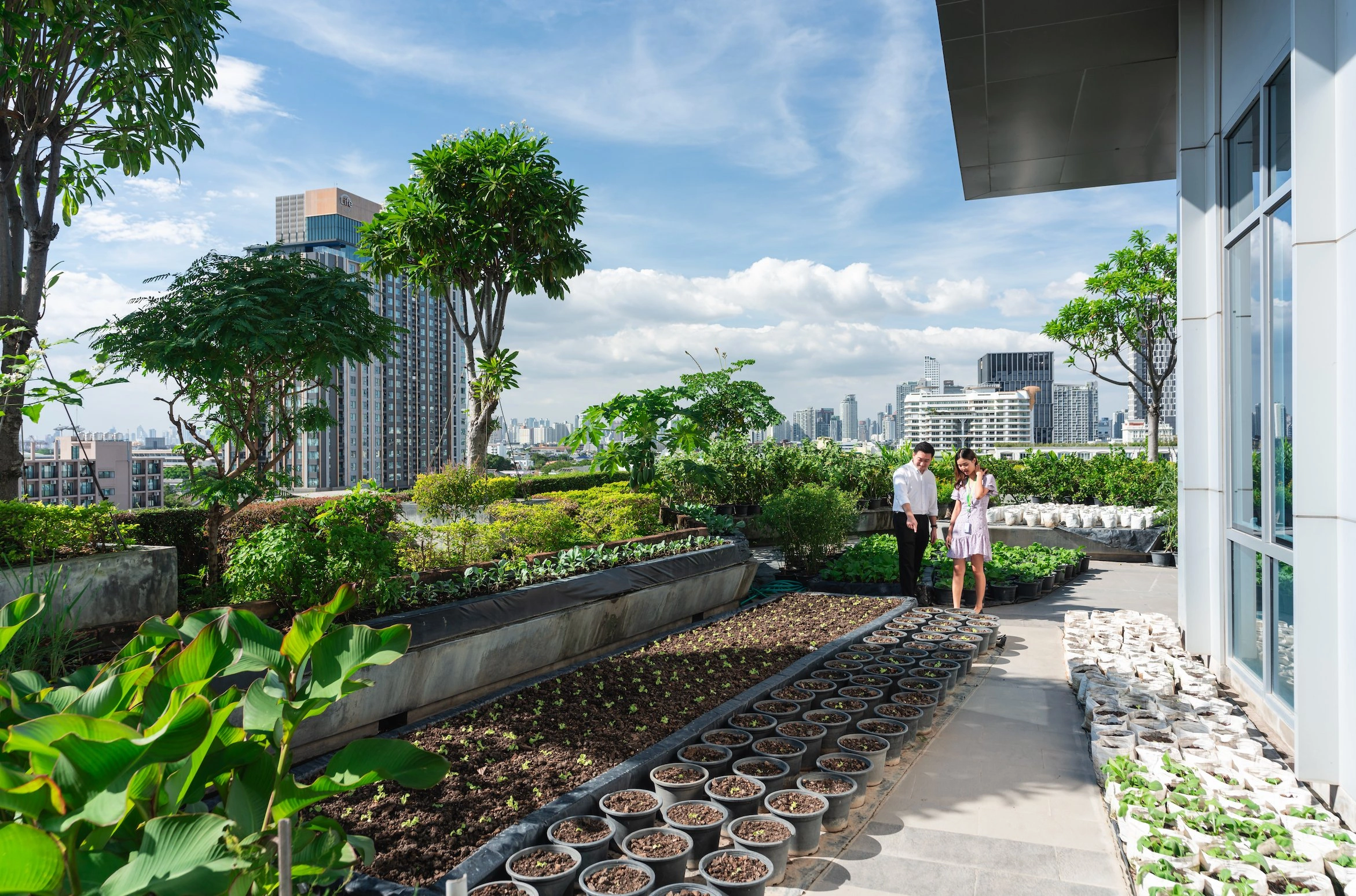 Screenshot 2567-06-10 at 18.00.20.png